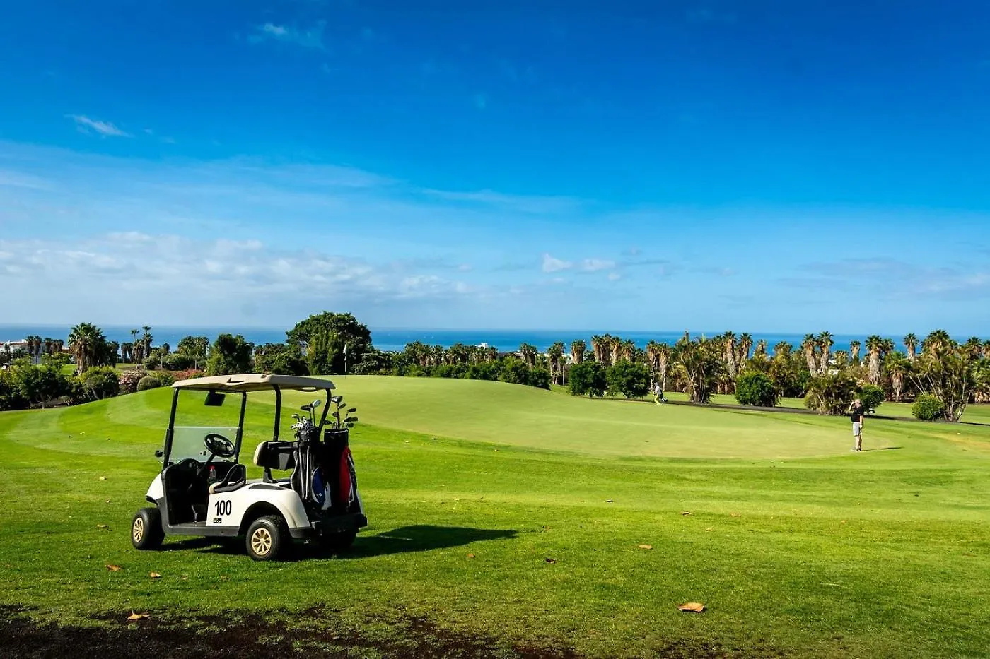 Gorgeous View Villa & Sauna, Golf Costa Adeje  Costa Adeje (Tenerife)